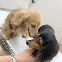 さらお君を病院に連れて行ったら⑩