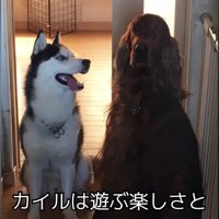 イタズラをする楽しさも♪