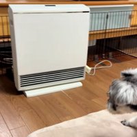 さらに後ずさりするジュディちゃん