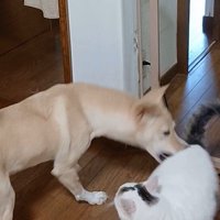 そらちゃんの変化7