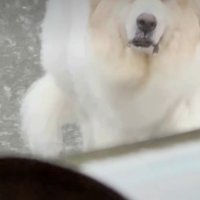 なんとも言えない表情