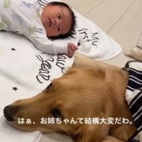 くららちゃんと赤ちゃん9