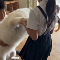 帰宅後のお子さんたちとまる君5