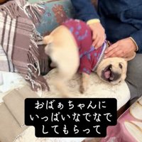 「キャッハー」