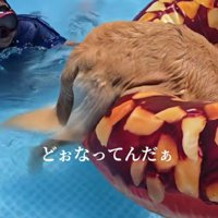 おしりだけ残ってる！