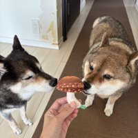 仲良し