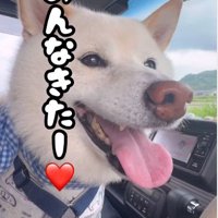 キラキラ笑顔にホッコリ♡