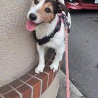 軽々と乗れちゃう♪