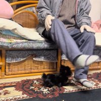 くぅちゃんとおじいちゃん