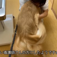 獣医さんより、看護師さんが好き！？