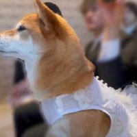 愛情あふれる表情に涙