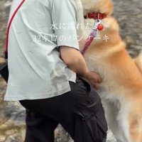 抱っこをせがむおはるちゃん