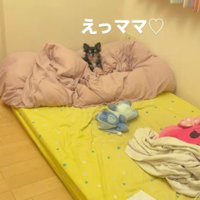 こっそり帰宅したら？