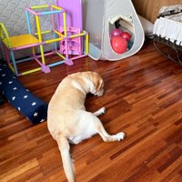 背中が寂しい薫風ちゃん