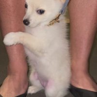 「怖いよ……助けて」