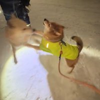 雪が積もった日もハグ