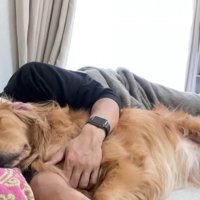 体調不良時のよもぎちゃん＆だいず君の対応8