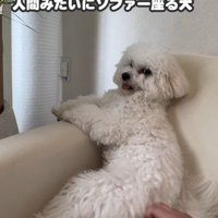 人間のような貫禄！！