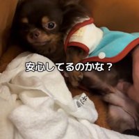 テープくんの変化3