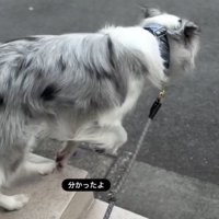 「わかったかも！」