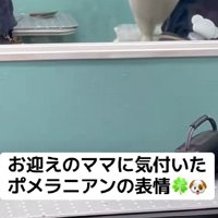 お迎えの時間になり…