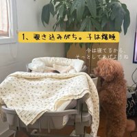 赤ちゃんが寝ている時も興味津々！