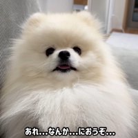 オナラのニオイが…！