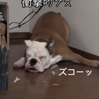ドジっ子な一面も♡