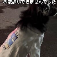 なぜか外を歩けない