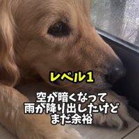 まだまだ余裕！