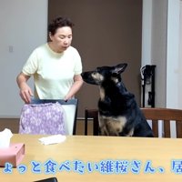 「もうちょっと食べたい…」