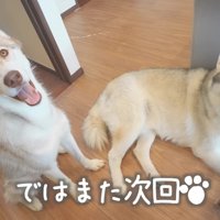 妹大好きな兄姉でした♪