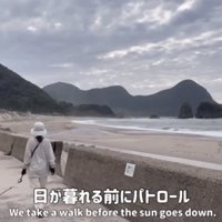海沿いを歩く犬と人