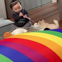 ちょっとしたもめごとも