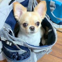 「早く行こう！」とワクワク♪