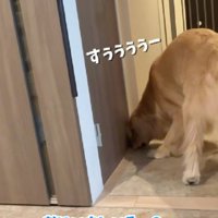 トイレもチェック！