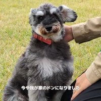 おすわりするルアナちゃん