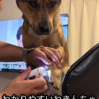 「もう終わる？」