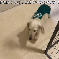 大人は苦手だけど…