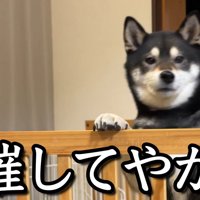 トイレに行きたいようです！