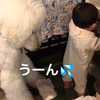 困惑のリアクションに爆笑