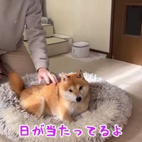 うにくんを移動させてみると…