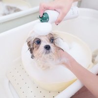 シャンプー台で体を洗われる子犬