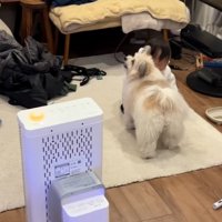 友達をガン見する小太郎くん