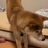 「さて…」