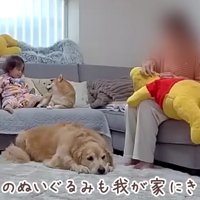おからちゃんのぬいぐるみ