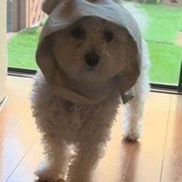 「どうしよう…」と困り顔