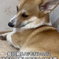 「早くして」感、全開