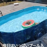 後日、プールで遊ばせてあげたら…