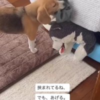 朝の日課完了～♪